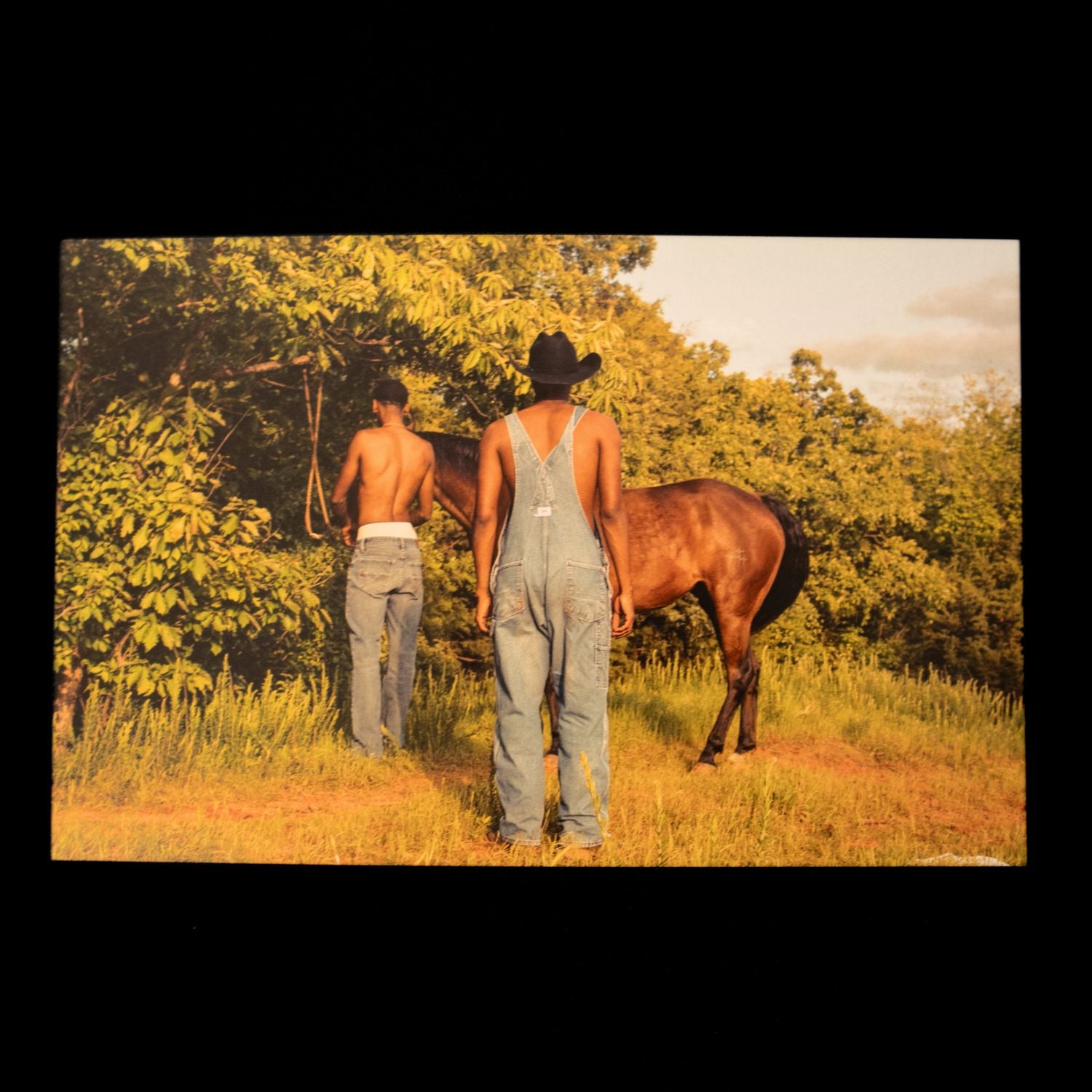 Jakian Parks Post Cards