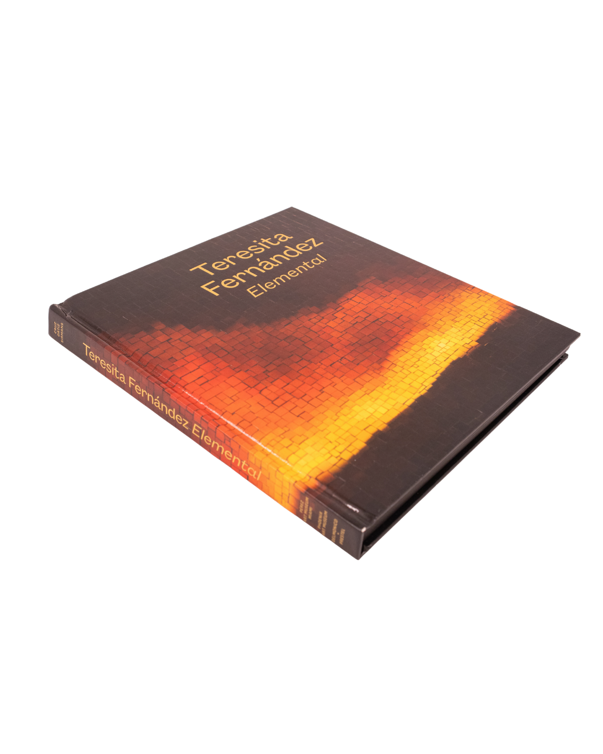 Teresita Fernandez: Elemental