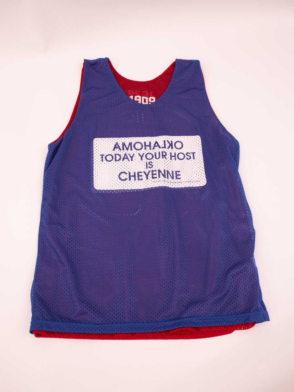 Edgar Heap of Birds Jersey