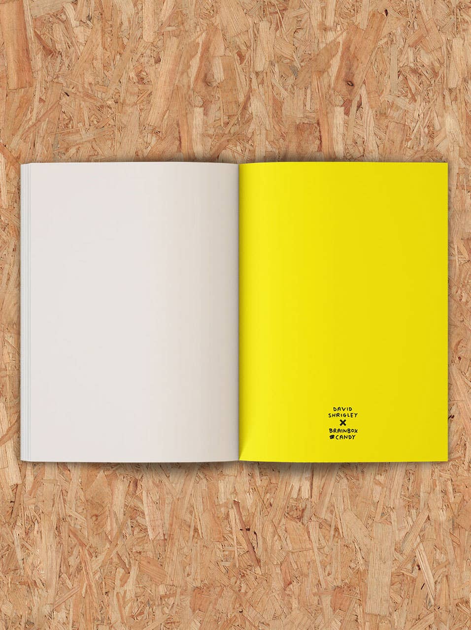 David Shrigley Sketchbook No One Disrespects My Drawings