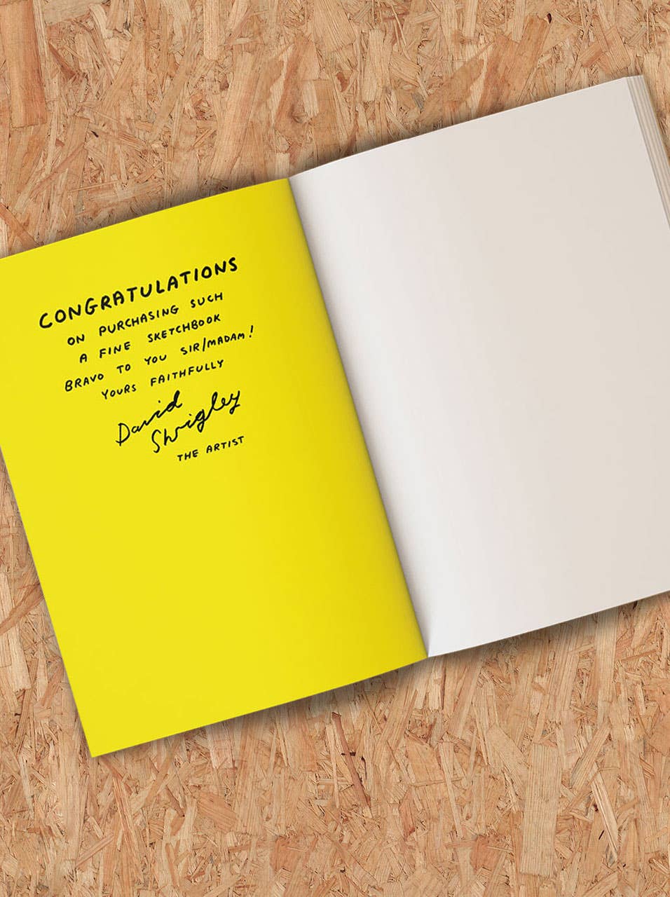 David Shrigley Sketchbook Art Will Save The World