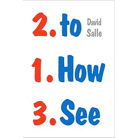 How to See book by David Salle