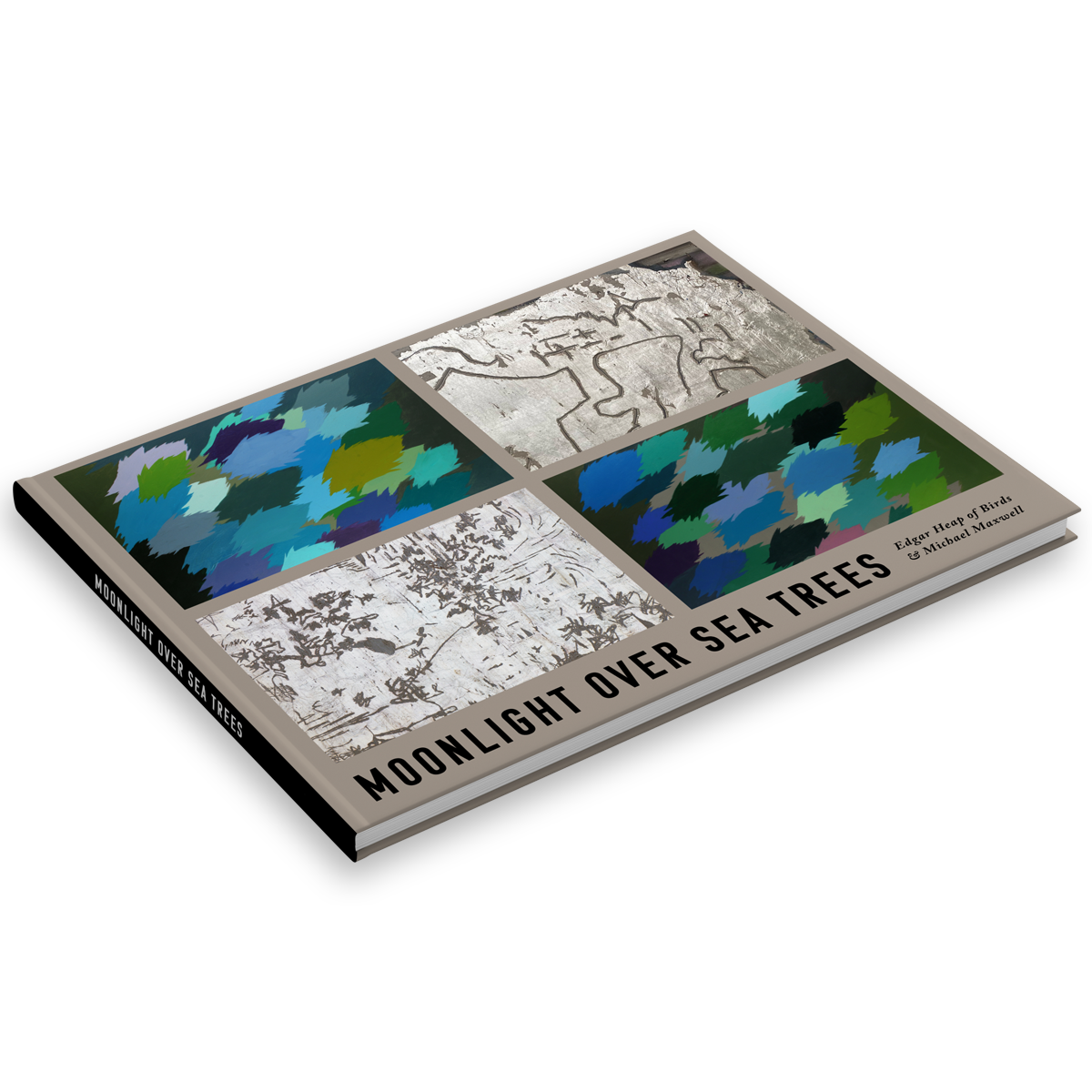 Moonlight Over Sea Trees