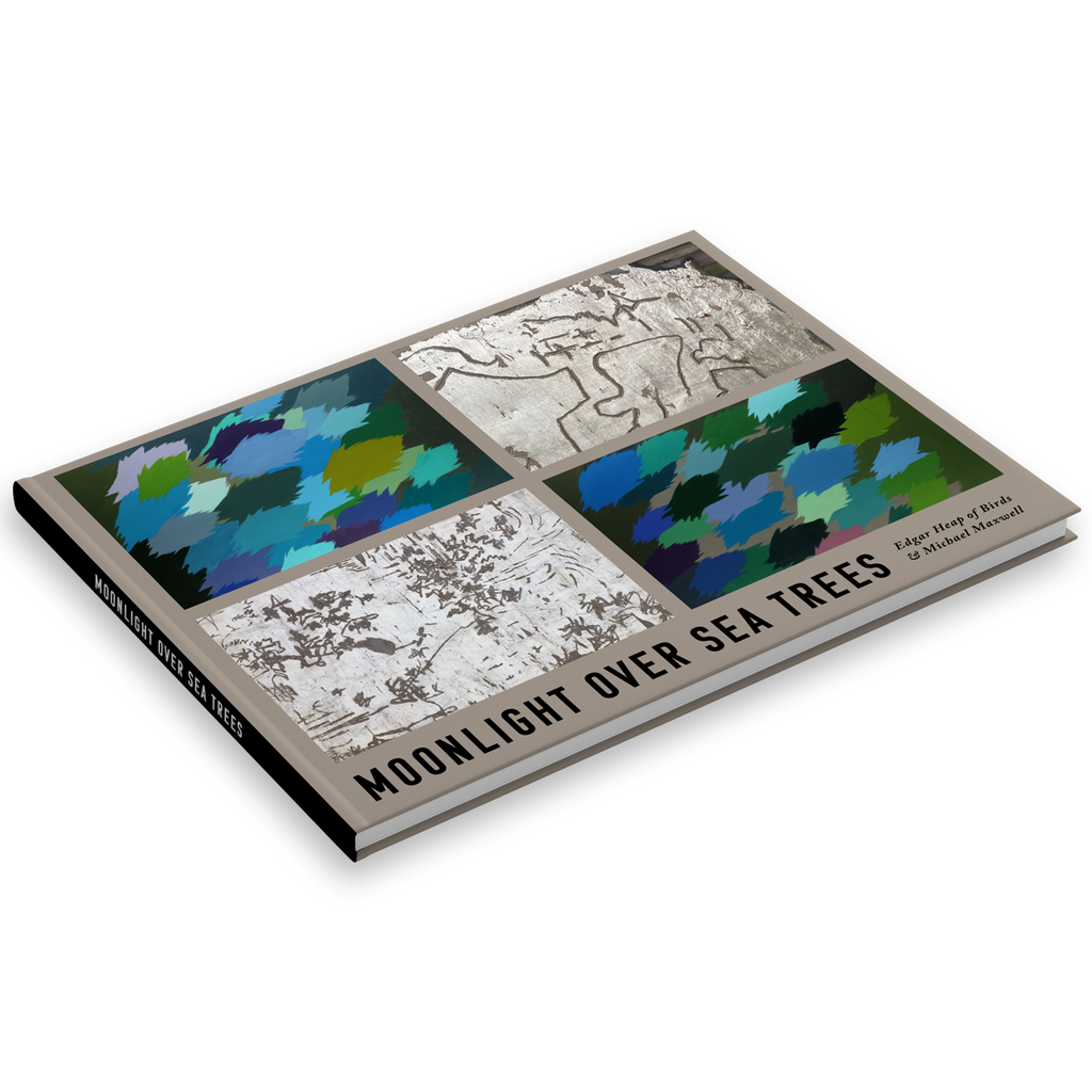 Moonlight Over Sea Trees