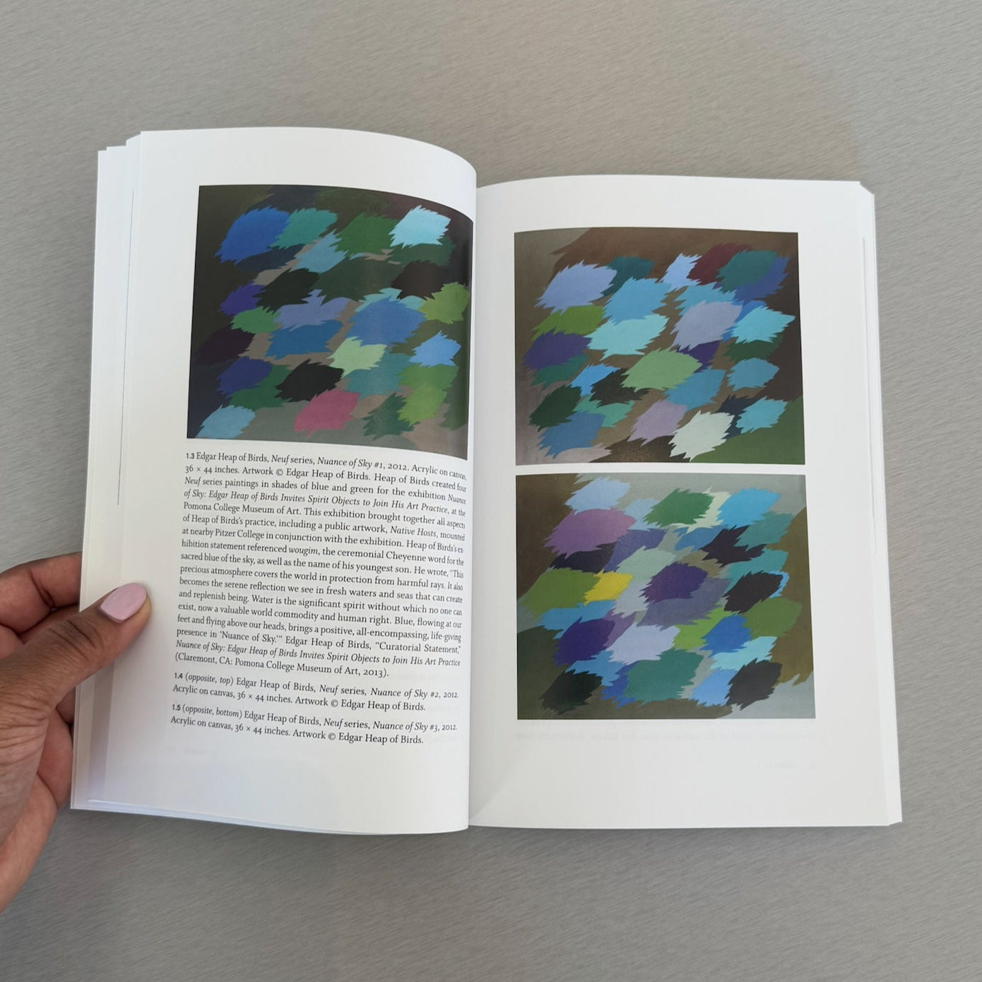 Bill Anthes x Edgar Heap of Birds